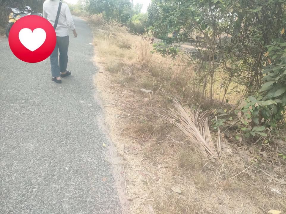 Đất nền Tân Biên, Tây Ninh 800m² - Tiềm năng tăng giá vượt trội!