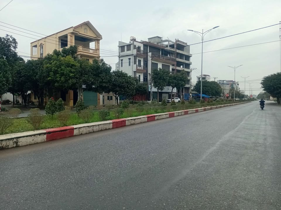 Đất nền 95m² Ngõ Lê Thái Tổ Hoa Lư - Tiềm năng tăng giá vượt trội!