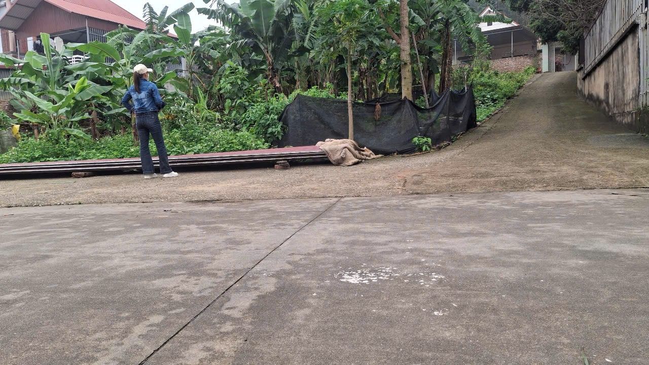 Đất nền Lão Hộ, Yên Dũng 100m² - Đường to ô tô, 2 mặt tiền