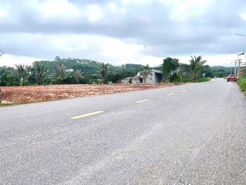 Đất nền Thị trấn Nhã Nam, Tân Yên 1898m² - Tiềm năng tăng giá vượt trội!