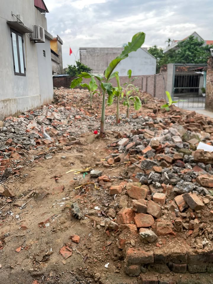 Đất thổ cư 203m² Yên Bình - Ý Yên, Nam Định - Gần Chợ Bóp, Sổ Đỏ Sẵn Sàng