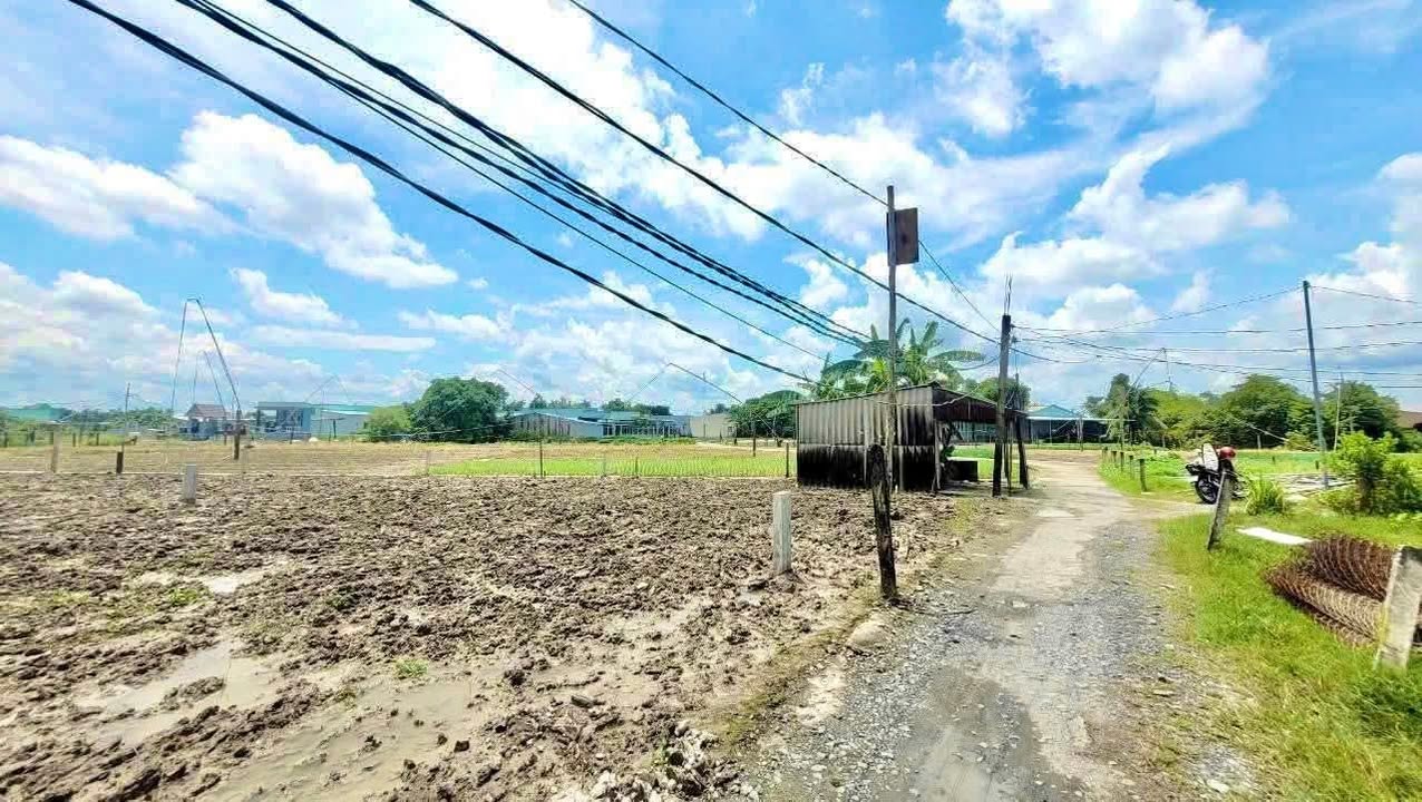 Đất Vườn Cần Giuộc 500m² giá 1 tỷ - Sổ hồng, đầu tư dài hạn!