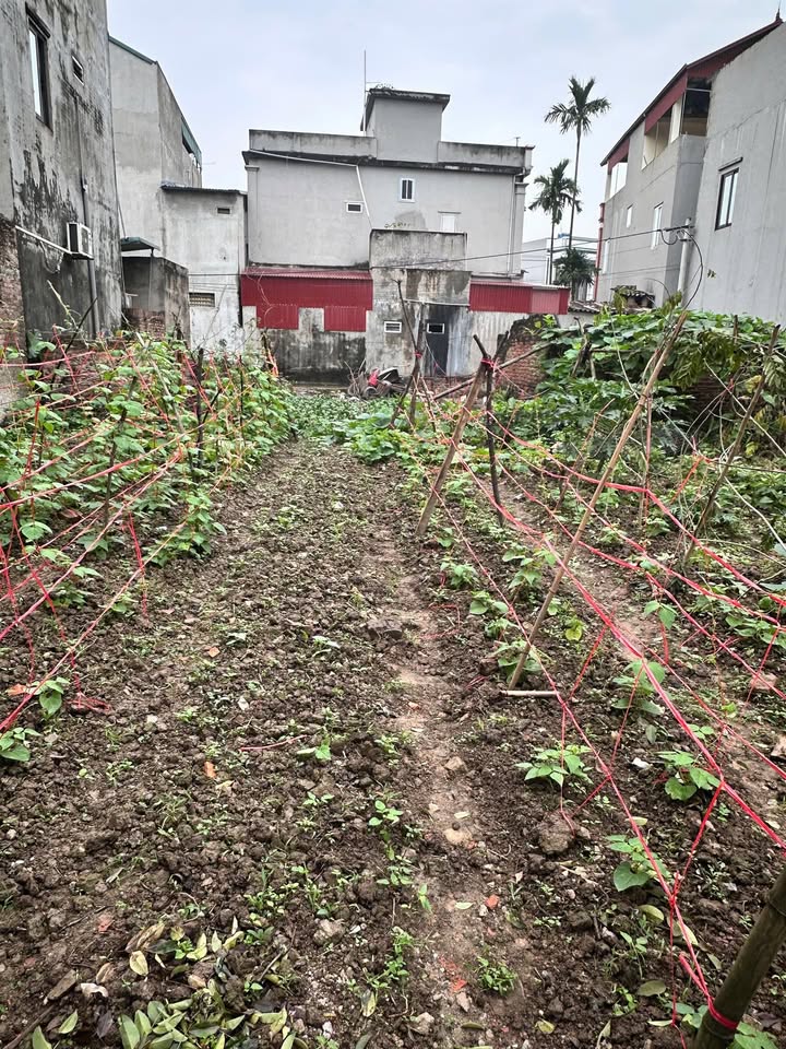 Đất nền Đại Đồng Thành, Thuận Thành 117m² - Tiềm năng tăng giá vượt trội!