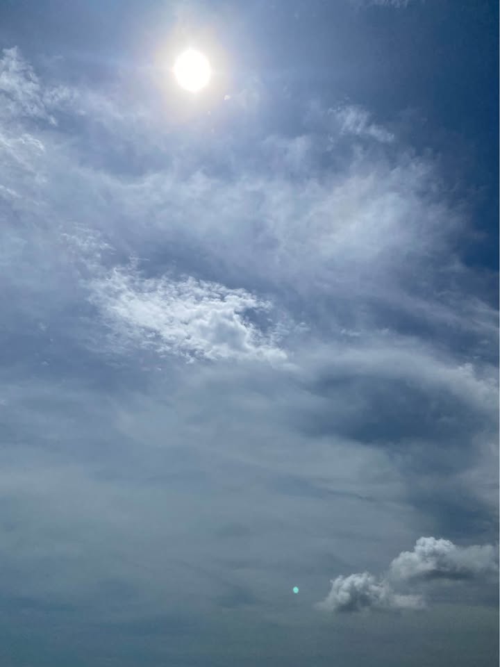 Đất vườn Bình Tú 900m² giá 850 triệu - Sổ hồng rõ ràng!