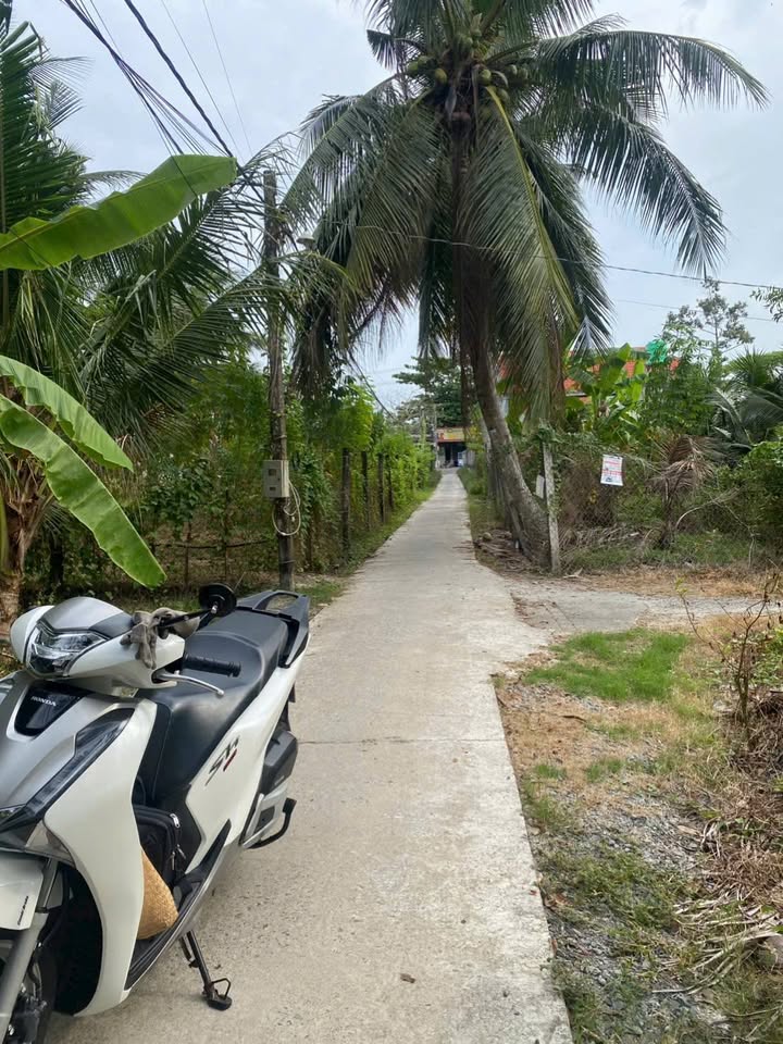 Đất vườn Tiên Thủy, Châu Thành 1.905m² - Sổ đỏ chính chủ