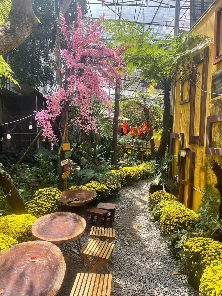 Nhà phố 2 mặt tiền Nguyễn Sinh Sắc 140m² - Dòng tiền ổn định!