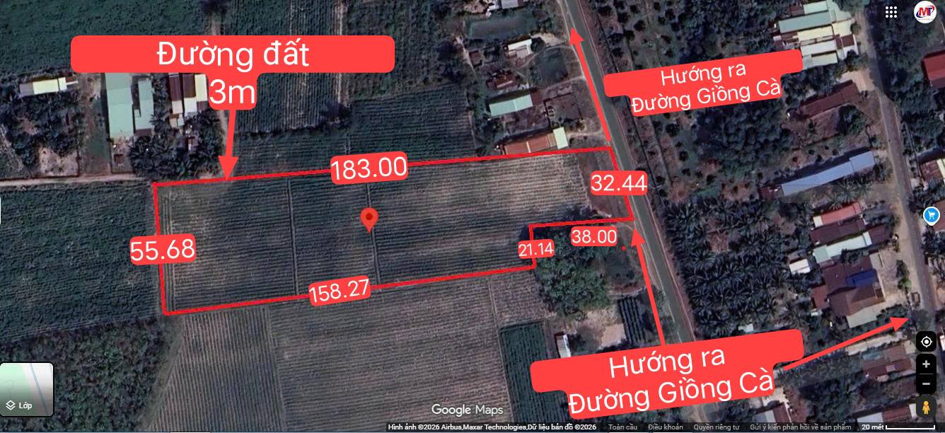 Đất Vườn 9000m² Sổ Hồng Riêng - Giá Tốt Huyện Gò Dầu