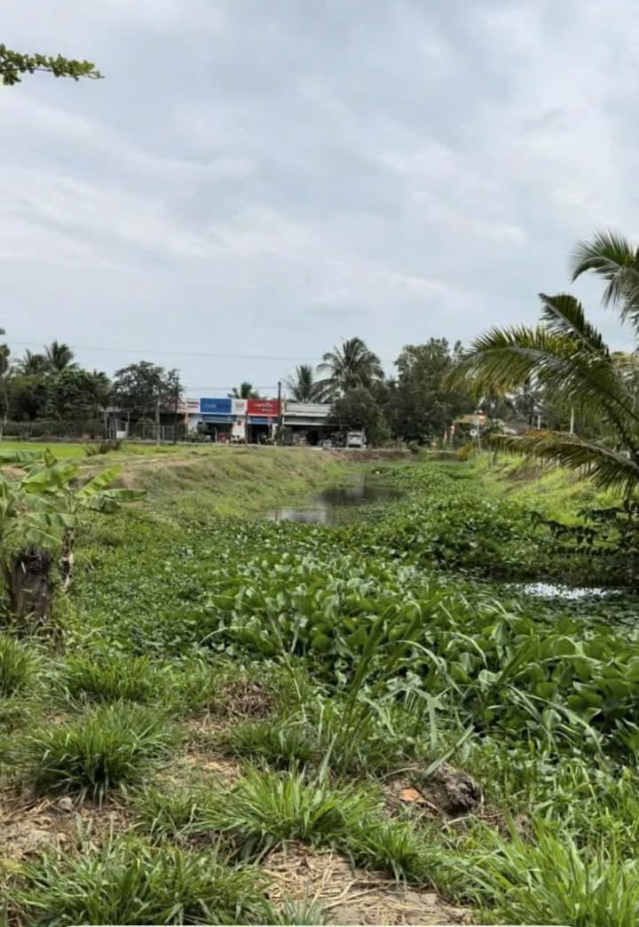 Đất vườn Châu Thành 7.000m² 2.24 tỷ - Nghỉ dưỡng lý tưởng