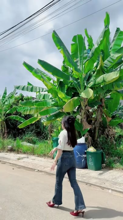 Đất nền Hẻm 47 Trường Lưu, Thủ Đức 51m² - Sổ hồng sẵn, ô tô vào tận nơi!