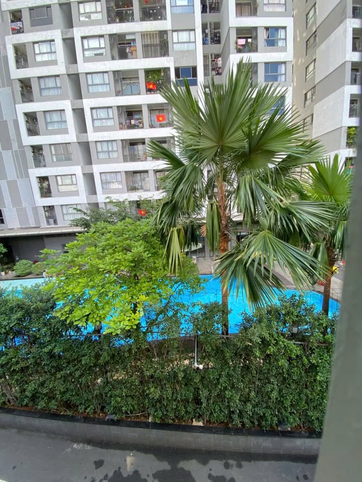 Nhà 3 Mặt Hẻm Xe Hơi 6m - P.2 Tân Bình, 63m², 5PN, Giá 15.6 Tỷ