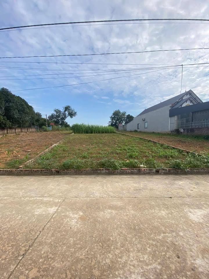 Đất Vàng Ba Vì - 345m² Vị Nhuế, Tiên Phong - Sổ Đỏ, Ô tô Đỗ Cửa