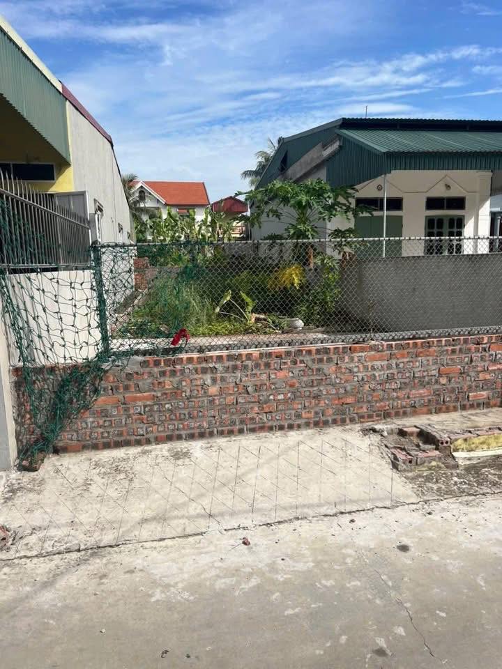 Đất nền Thanh Miện 110m² - Sổ đỏ chính chủ, tiềm năng sinh lời!