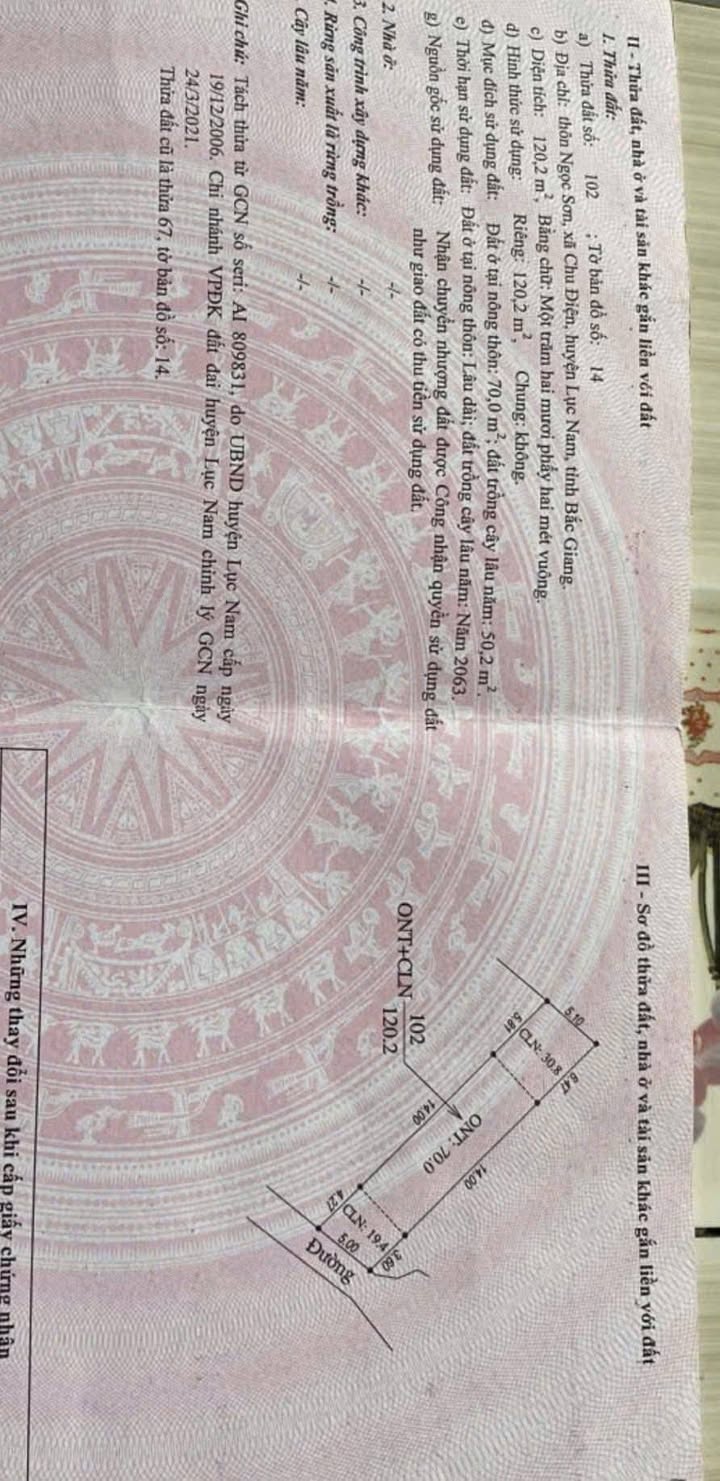 Đất Lục Sơn, Lục Nam 120m² - Sổ đỏ chính chủ!