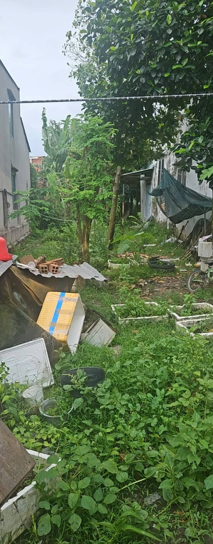 Đất nền Tân Thông Hội Củ Chi 252m² giá 900 triệu - Sổ hồng chính chủ!