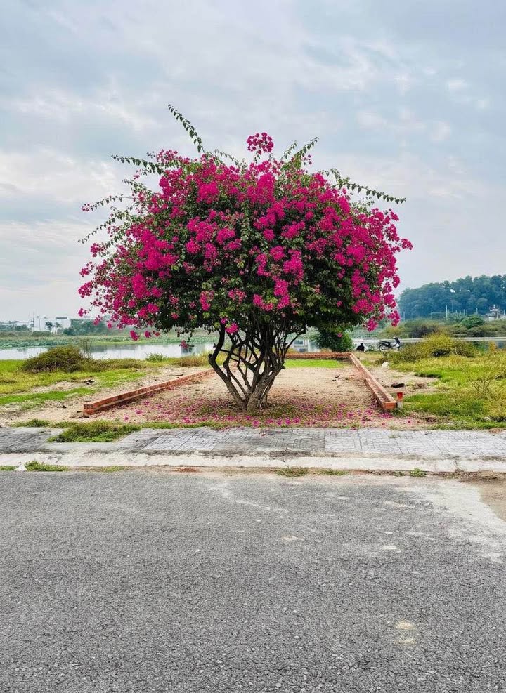 Đất nền Lan Anh 1 TP Bà Rịa 110m² giá 1.85 tỷ - Sổ đỏ chính chủ!