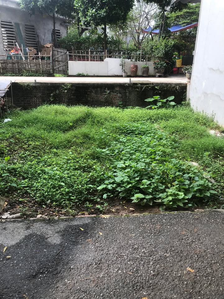 Đất nền Xuân Phương 43m² - Xây dựng tự do, tiềm năng sinh lời!