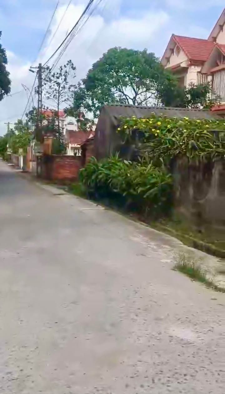 Đất nền Cẩm Hoàng, Cẩm Giàng 100m² giá 700 triệu - Đường to ô tô tận nơi!