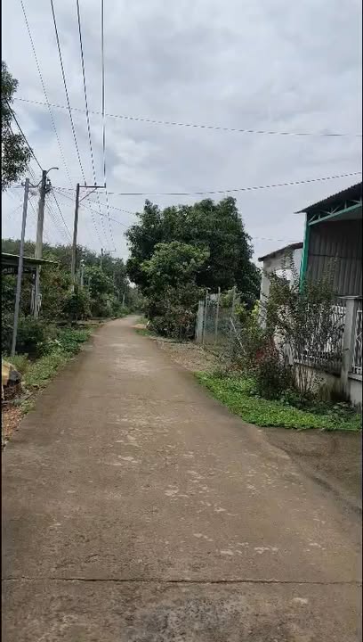 Nhà Xã Phú Lý Vĩnh Cửu 770m² - Sổ hồng sẵn, giá cực tốt!