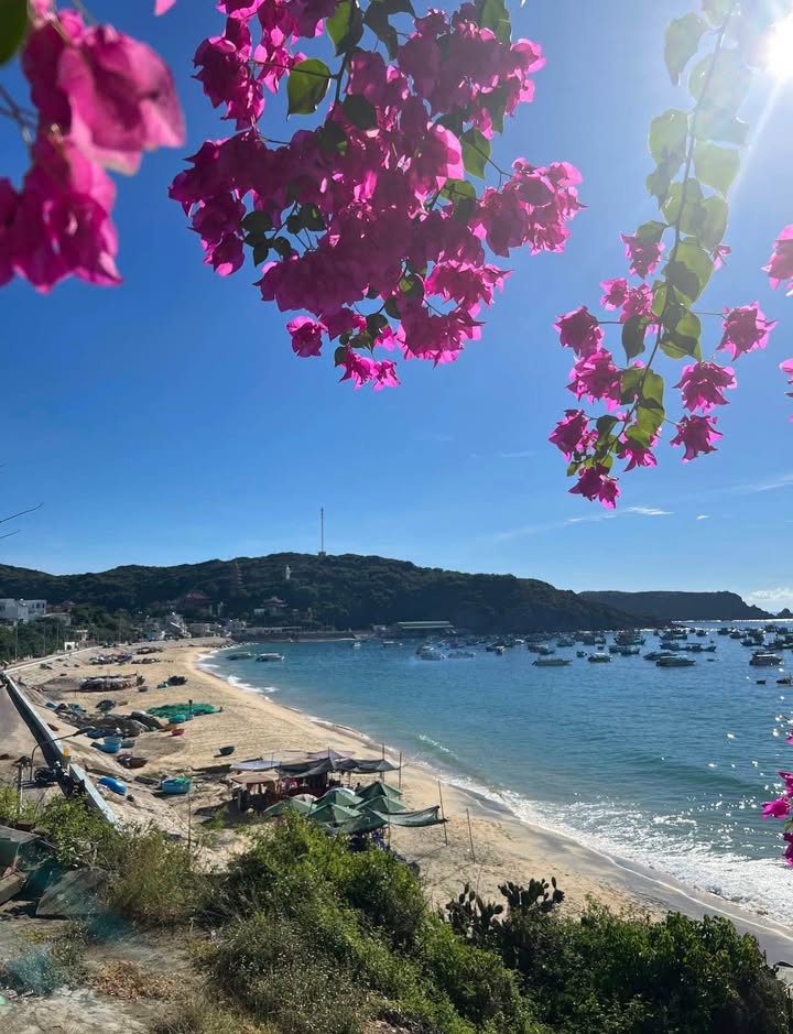 Đất Biển Bãi Nồm Nhơn Lý 205m² - Mặt Tiền 16m - Sổ Đỏ Thổ Cư