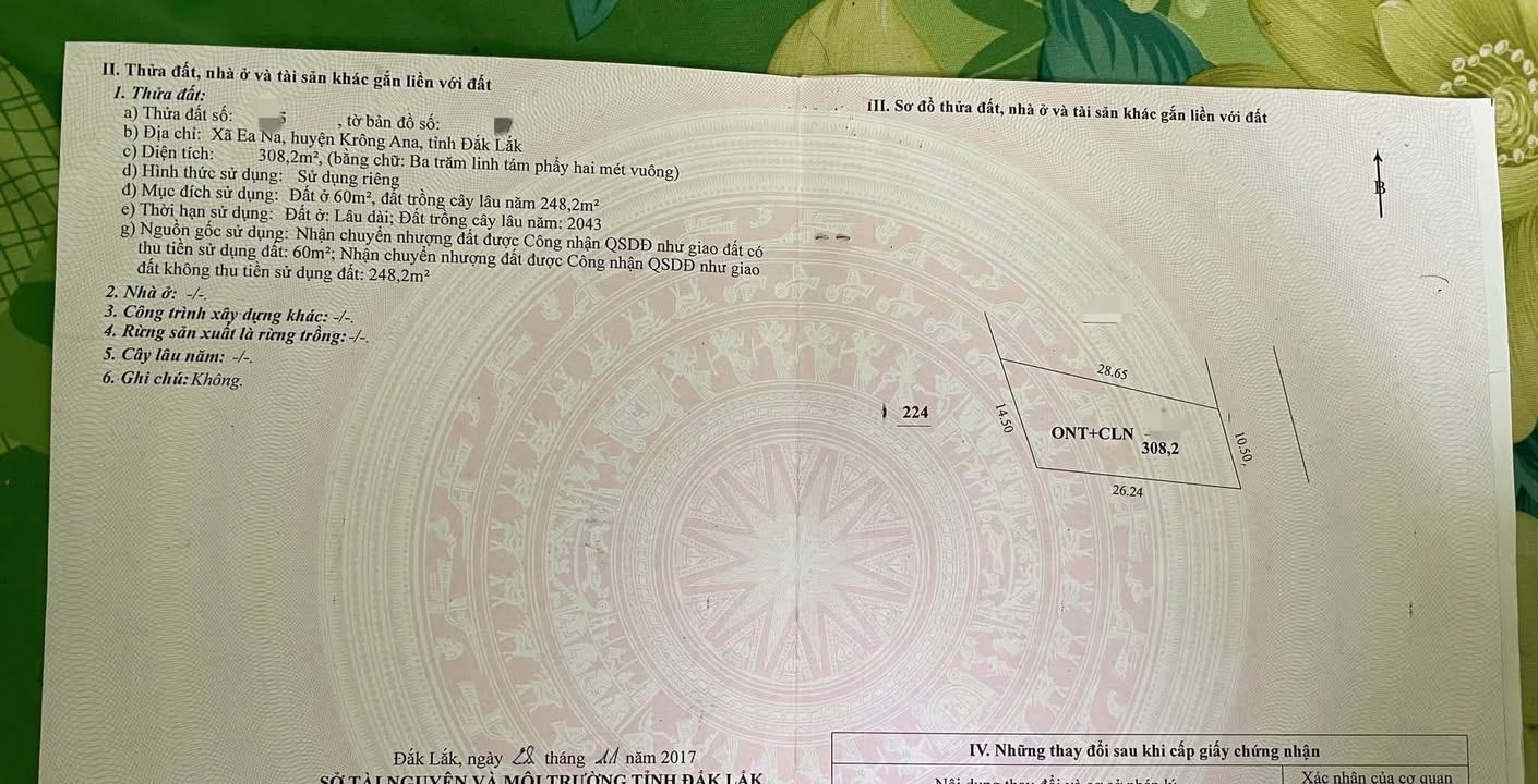 Đất Vàng Xã Ea Na, Đắk Lắk - 294m² Sổ Đỏ Sẵn Sàng Đầu Tư