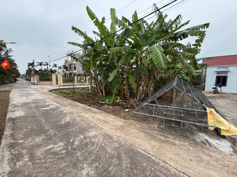 Bán Đất Hải Hậu 315m² - Sổ Đỏ Chính Chủ, View Sông Mát Mẻ