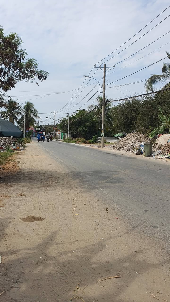 Đất Mặt Tiền Đường Duyên Hải 3000m² - Vị trí đắc địa, kinh doanh sầm uất!