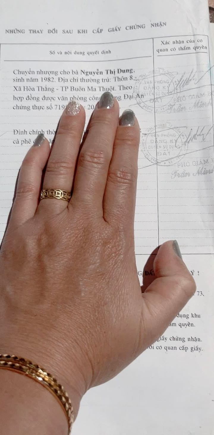 Đất Nền Hàm Thuận Nam 3000-5000m² - Đường to ô tô tiện lợi!