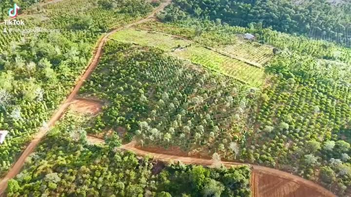 Đất vườn Gia Nghĩa 12000m² - Đầu tư dài hạn, sinh lời bền vững!