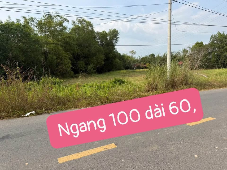 Đất nền Bình Chánh 2478m² - Tiềm năng tăng giá vượt trội!