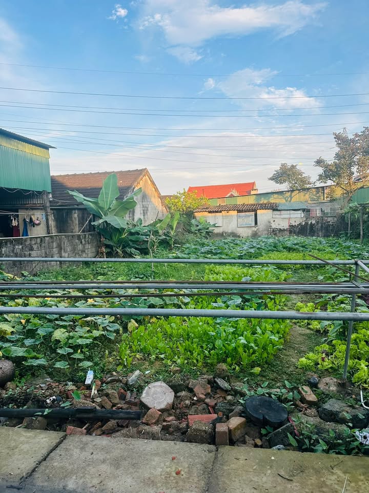 Đất nền Yên Sơn Đô Lương 125m² giá 1.7 tỷ - Đường to ô tô vào thoải mái