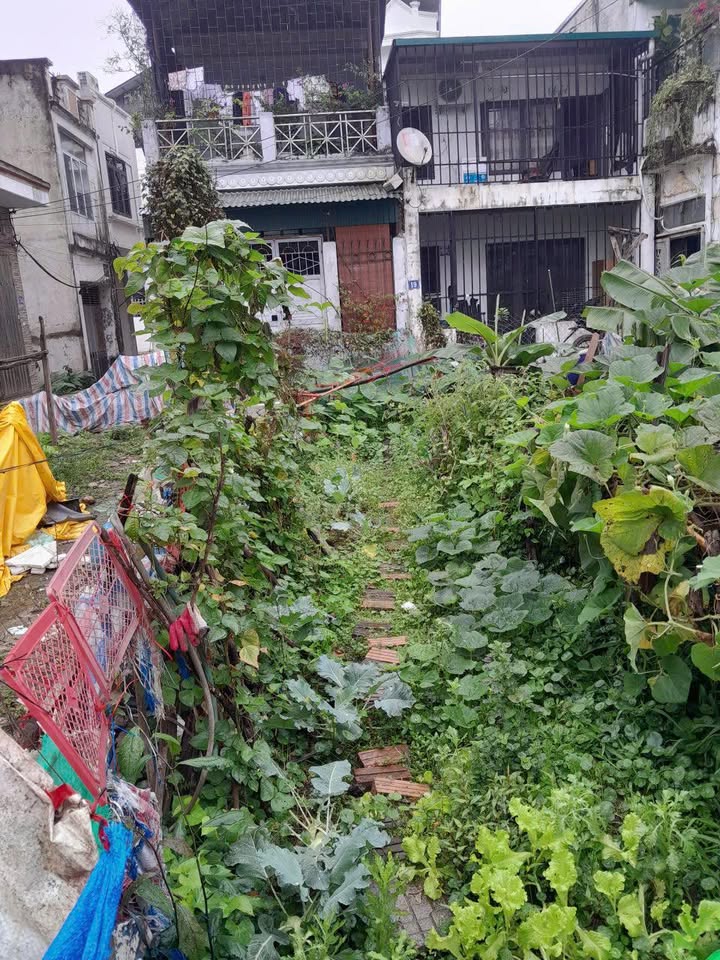 Đất vườn Thượng Phúc, Thanh Trì 46m² - Tiềm năng tăng giá vượt trội!