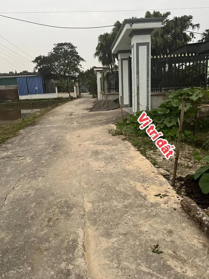 Đất Nền Vĩnh Quang, Nông Cống 175m² - Tiềm Năng Tăng Giá Vượt Trội!