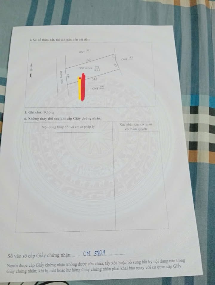 Đất thổ cư 100m² tại Tế Thắng, Nông Cống - Sổ đỏ sẵn sàng giao dịch