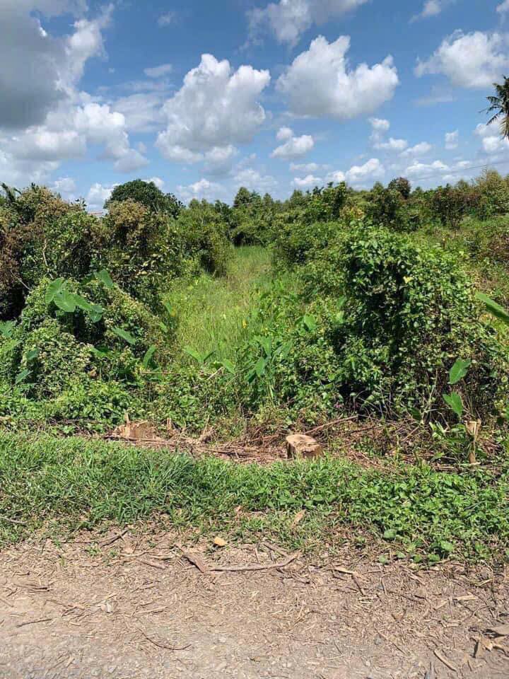 Đất Nền 574m² Mỹ Phước, Vĩnh Long - Giá Tốt 580 Triệu, Sổ Hồng Sẵn