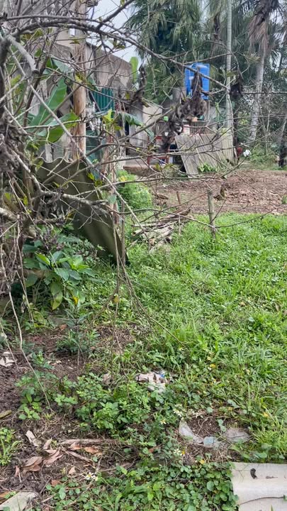 Đất nền Quảng Nhân Thanh Hóa 400m² - Sổ đỏ sẵn, tách lô 400tr/lô