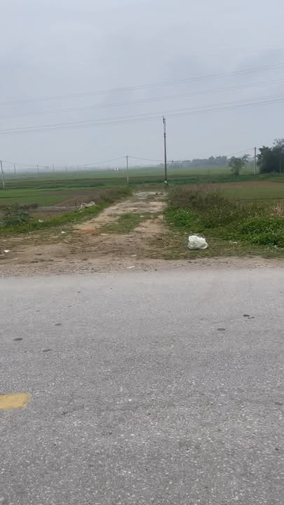 Đất Quảng Lưu Quảng Xương 368m² - Tiềm năng tăng giá