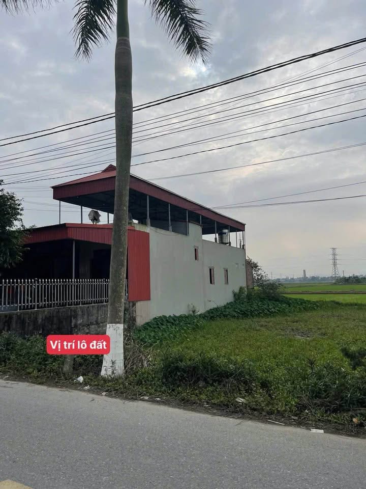 Đất nền An Đổ, Bình Lục, Hà Nam 180m² - Sổ đỏ chính chủ