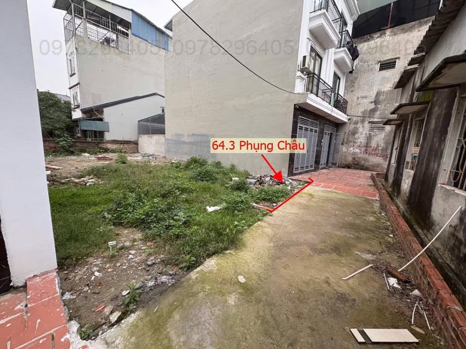 Đất nền Phụng Châu Chương Mỹ 64m² - Sổ đỏ chính chủ!