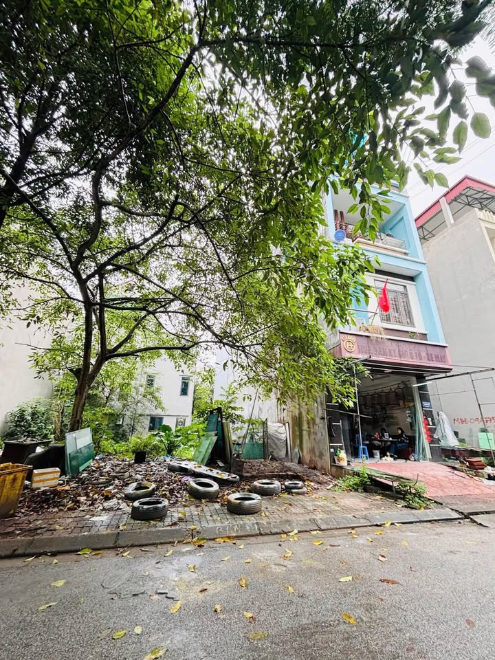 Đất nền Phố Nguyễn Tự Cường Bắc Ninh 79m² - Tiềm năng tăng giá vượt trội!