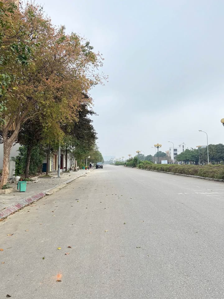 Nhà Phố Đông Hải, Thanh Hóa 87.5m² - Mặt tiền kinh doanh đắc địa!