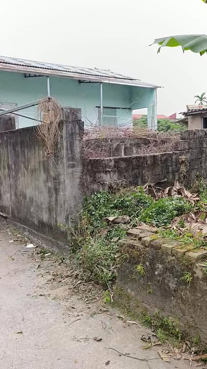 Bán Đất Nền Vũ Bản, Bình Lục - 75-80m² Sổ Đỏ Chính Chủ, Giá Tốt