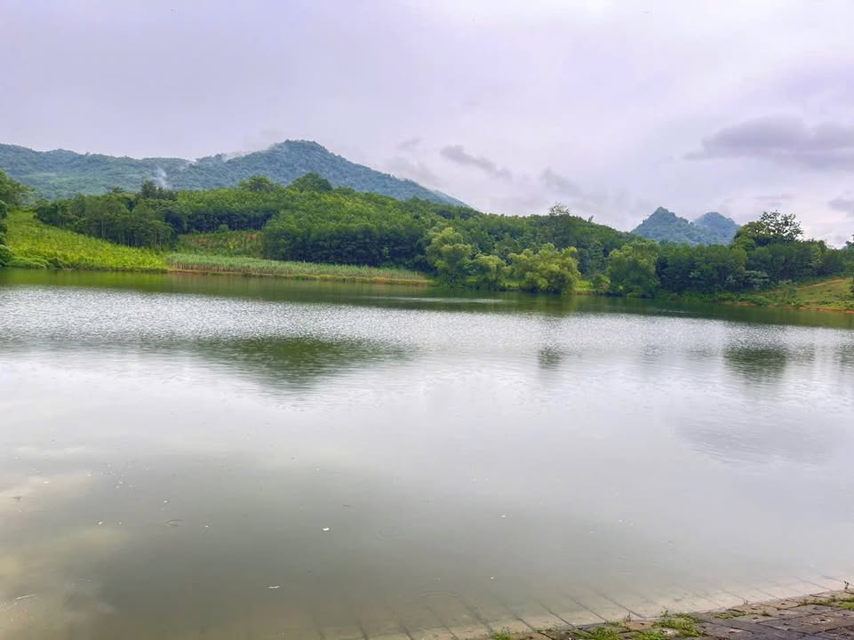 Đất nền Vũ Bình, Lạc Sơn 177m² - Đất thổ cư 100%, Sổ hồng sẵn!