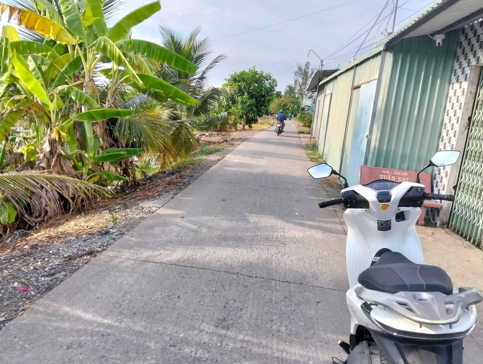 Bán Đất Vườn Long An 1000m² - Sổ Hồng Sẵn Sàng, Giá 970 Triệu