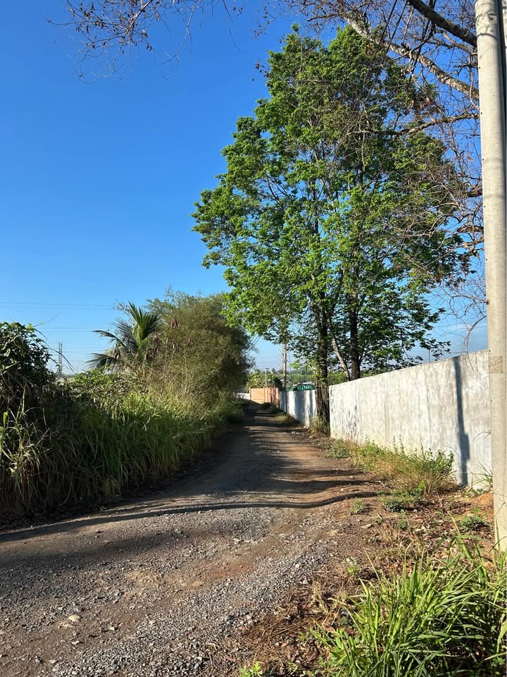 Đất thổ cư Trảng Dài 110m² sổ riêng - Giá 880 triệu, gần chợ & DT768