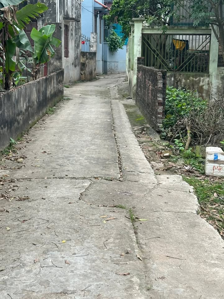 Đất nền Vạn Phúc, Thanh Trì 51m² - Đường to ô tô, xây dựng ngay!