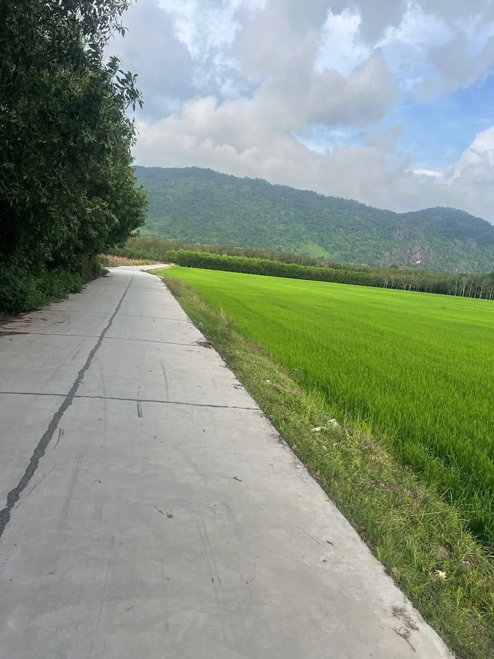 Đất Vườn 18000m² Mặt Tiền Đường 30m - Tân Thành, Hàm Thuận Nam - Giá Tốt