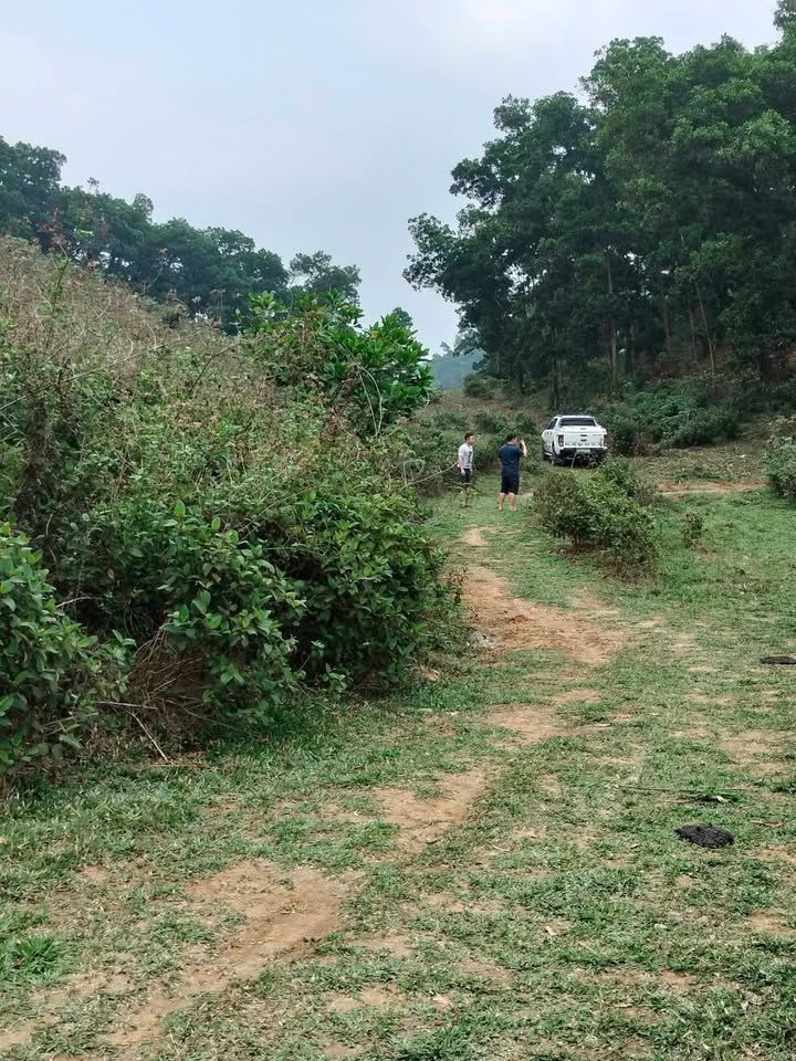 Đất nền Yên Trung 2ha 100 triệu/sào – Sổ đỏ chính chủ