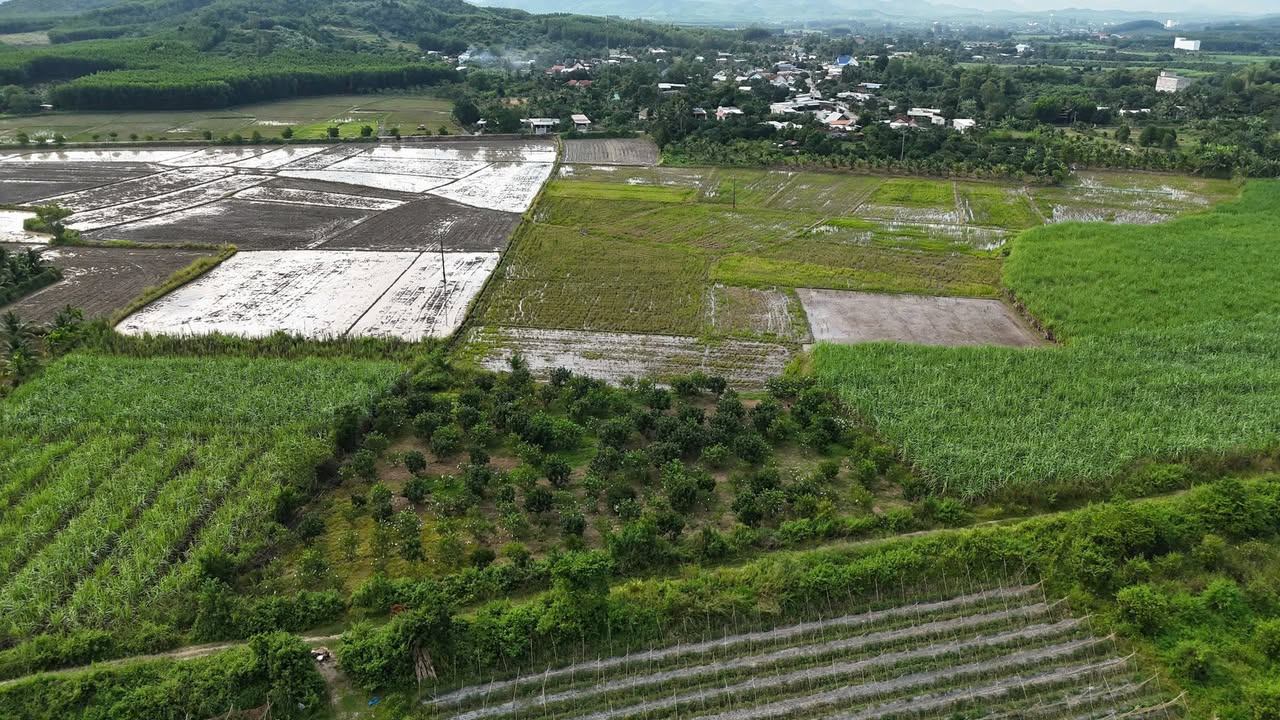 Bán Gấp Vườn Trái Cây Diên Đồng 2972m² - Giá Đầu Tư 1.5 Tỷ