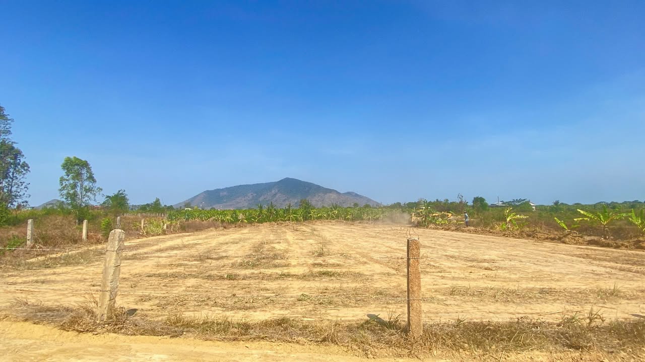 Đất nền Thị trấn Thuận Nam 33400m² - Sổ đỏ chính chủ, tiềm năng sinh lời!