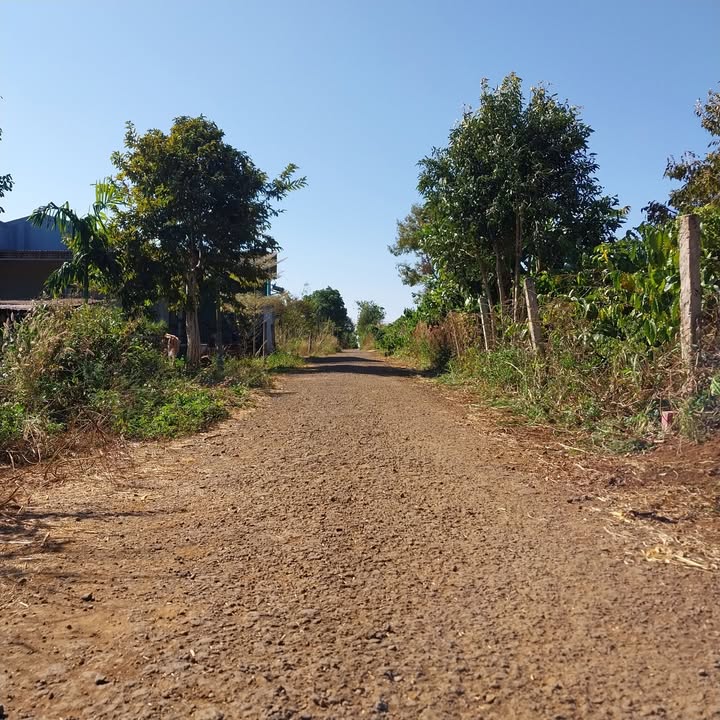 Đất nền Trường Sơn, Iasao 135m² - Sổ đỏ chính chủ, giá từ 2xx triệu